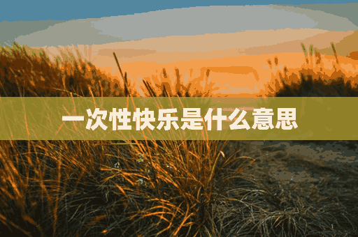 一次性快乐是什么意思(一次性快相)